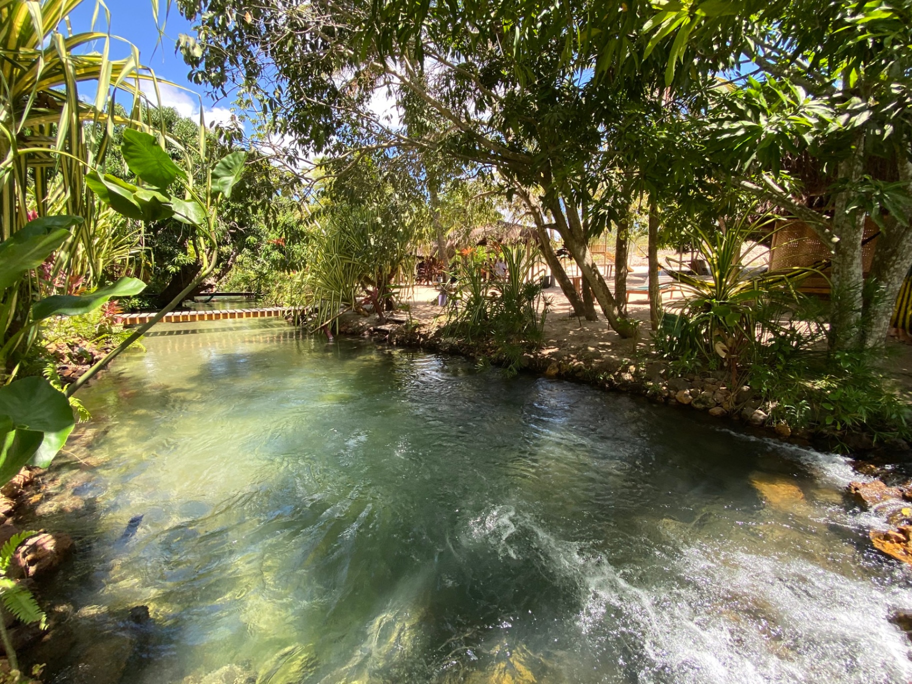 Vegetação nativa às margens do Rio Catolé no Recanto Pacheco