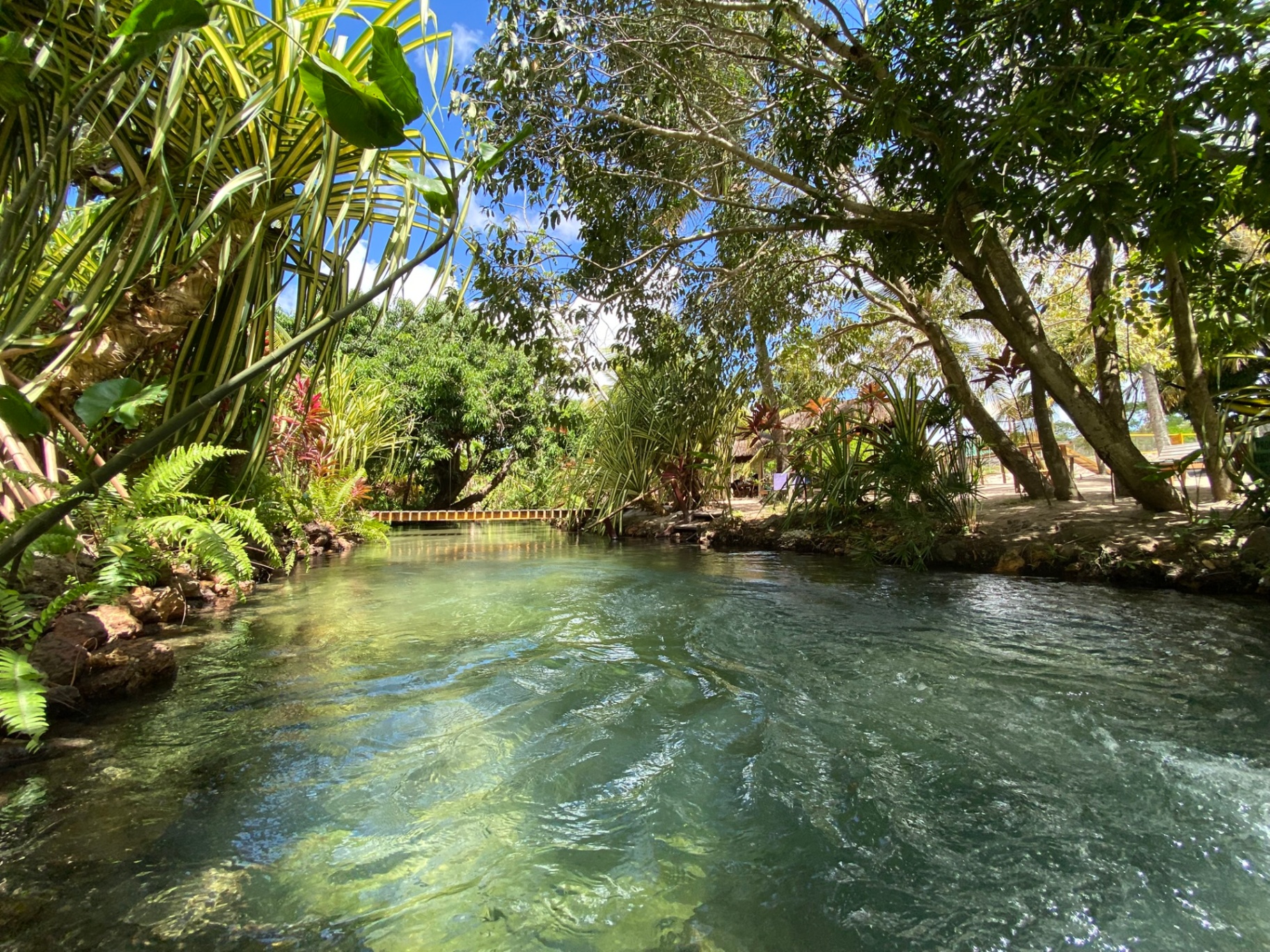 Paisagem natural do Rio Catolé com coqueiros em Rio do Fogo