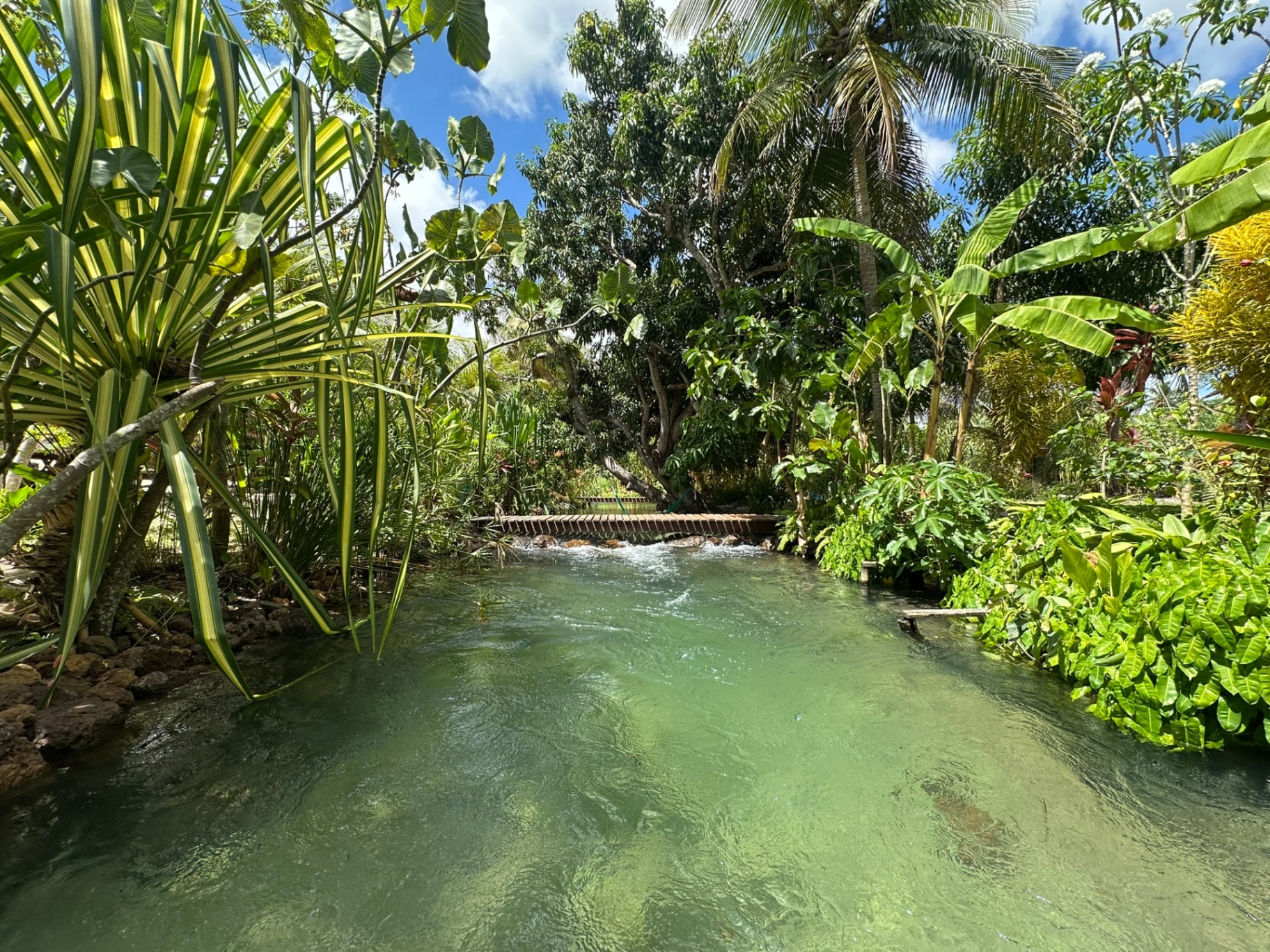 Rio Catolé em Catolé, Rio do Fogo RN - Águas cristalinas e natureza preservada